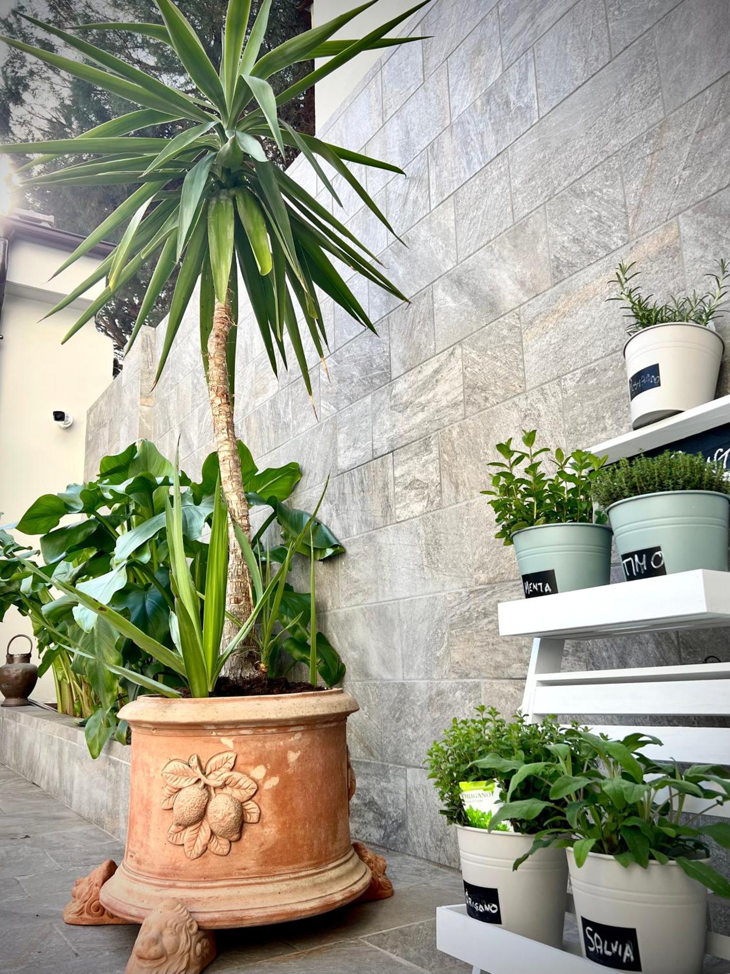 Bed and Breakfast Lucentum Prato  Esterno foto